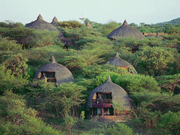 Serengeti Serena Safari Lodge - Lodge 